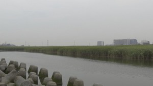 DSC01144.jpg