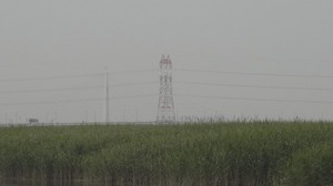 DSC01145.jpg