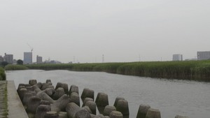 DSC01152.jpg