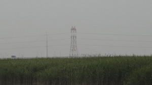 DSC01153.jpg