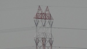 DSC01156.jpg
