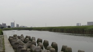 DSC01160.jpg