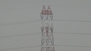 DSC01162.jpg